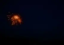DSC_0206.webp
