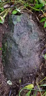 20190203_173736.webp