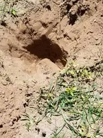 20190624_130809.webp