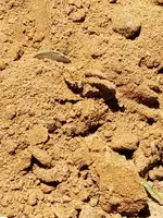 20190624_130805.webp