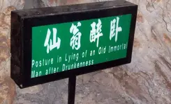 152_signs2.webp