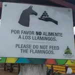 funny-translation-fail-105-59b0f9af2a2ed__605.webp