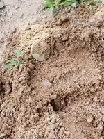 20190607_143759.webp