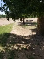 20190607_144605.webp