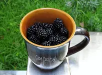 K1600_DSCN6559.webp