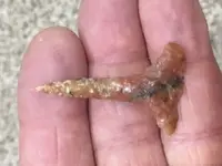 agate drill.webp
