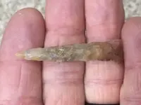 slender drill.webp