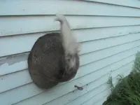 DSCF8002.webp