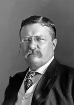 President_Roosevelt_-_Pach_Bros.webp