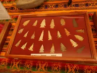 DSCN1598.webp