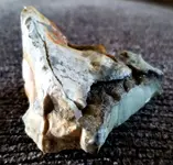 20190730_202842.webp
