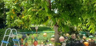 20190810_125317.webp