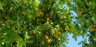 20190810_125232.webp