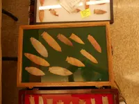 DSCN1623.webp