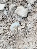 20190616_153859.webp