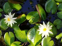 20190810_093018.webp