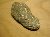 DSCN1072.webp