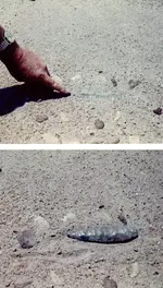 1976_ScannedPics.webp