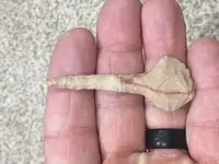 glued drill.webp