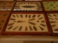 DSCN1644.webp
