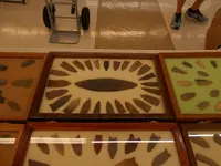 DSCN1645.webp