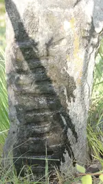 20190608_111106.webp