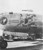 nose art p.webp