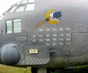 nose art for Roger.webp