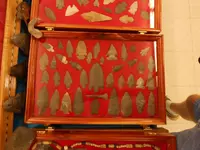 DSCN1655.webp