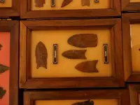 DSCN1656.webp