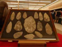 DSCN1659.webp