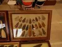 DSCN1664.webp