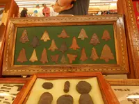 DSCN1667.webp