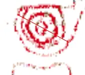 crater2.webp
