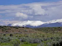 trip 060719 1.webp
