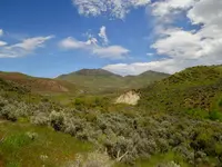 trip 060719 2.webp