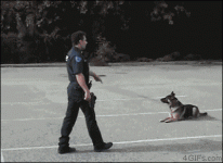 09ea1befd46ca1225795373ca2cd1b9f.gif