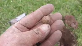 VideoCapture_20190624-011502.webp