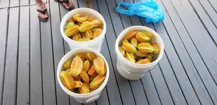 20190810_132047.webp