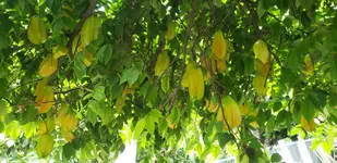 20190810_132130.webp