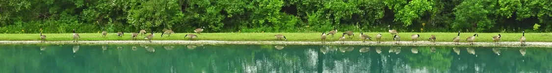 DSCN9865.webp