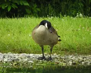 DSCN9866.webp
