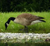 DSCN9867.webp