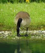 DSCN9871.webp