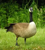 DSCN9875.webp