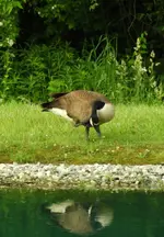 DSCN9881.webp