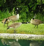 DSCN9884.webp