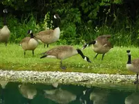 DSCN9885.webp