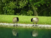 DSCN9887.webp
