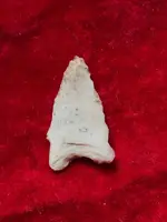 ImageUploadedByTreasureNet.com1563745147.710987.webp